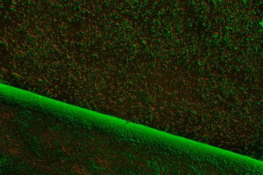 Soyut arkaplan. Çoklu renkli doku çizimi.