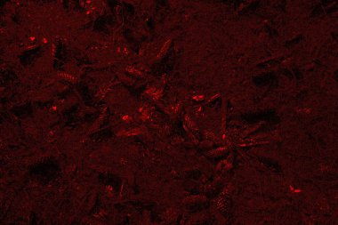 Soyut arkaplan. Çoklu renkli doku çizimi.