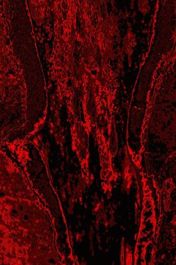 Soyut arkaplan. Çoklu renkli doku çizimi.