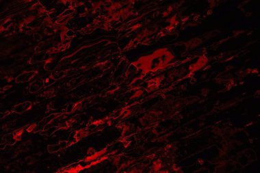 Soyut arkaplan. Çoklu renkli doku çizimi.