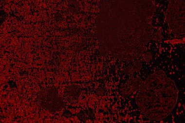 Soyut arkaplan. Çoklu renkli doku çizimi.