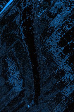 Soyut arkaplan. Monokrom dokusu. Resim siyah ve beyaz tonları içerir.