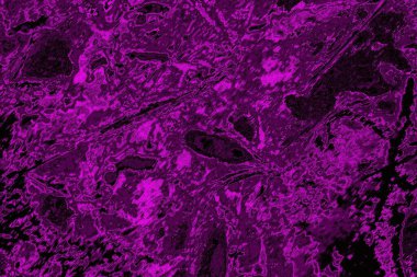 Soyut arkaplan. Monokrom dokusu. Resim siyah ve beyaz tonları içerir.