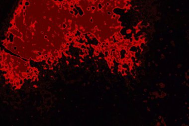 Soyut arkaplan. Çoklu renkli doku çizimi.