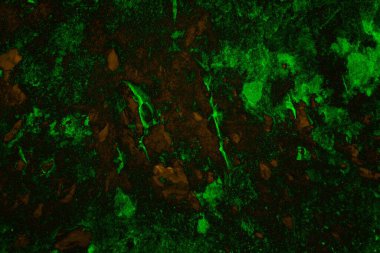 Soyut arkaplan. Çoklu renkli doku çizimi.