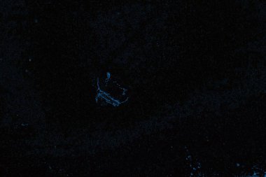 Soyut arkaplan. Monokrom dokusu. Resim siyah ve beyaz tonları içerir.