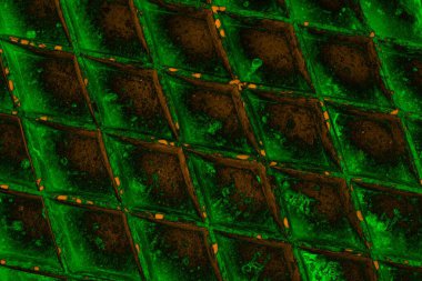 Soyut arkaplan. Çoklu renkli doku çizimi.