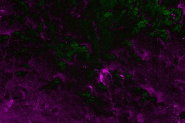 Soyut arkaplan. Çoklu renkli doku çizimi.