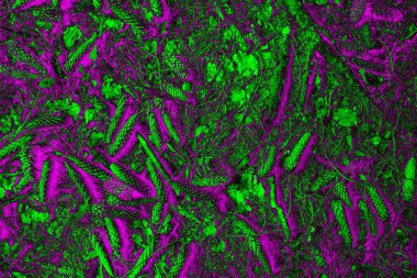 Soyut arkaplan. Çoklu renkli doku çizimi.