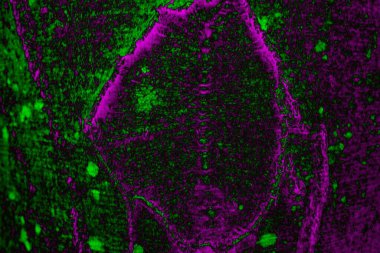 Soyut arkaplan. Çoklu renkli doku çizimi.