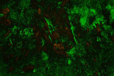 Soyut arkaplan. Çoklu renkli doku çizimi.