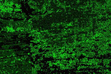 Soyut arkaplan. Çoklu renkli doku çizimi.