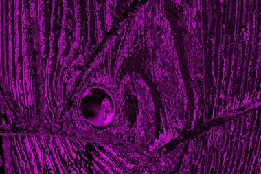 Soyut koyu mor arkaplan, desenli arkaplan