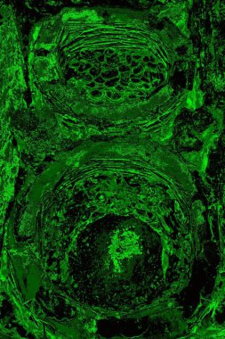 Soyut arkaplan. Çoklu renkli doku çizimi.