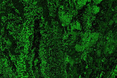 Soyut arkaplan. Çoklu renkli doku çizimi.