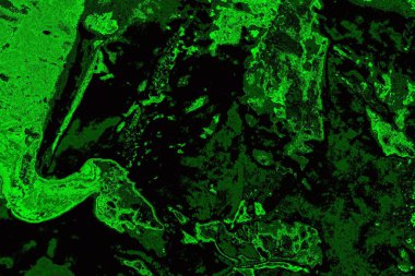 Soyut arkaplan. Çoklu renkli doku çizimi.