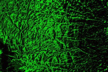 Soyut arkaplan. Çoklu renkli doku çizimi.