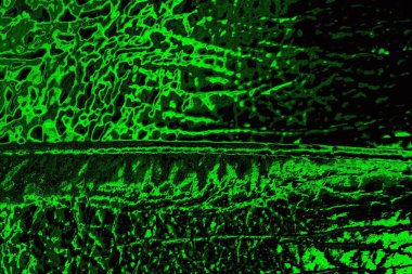 Soyut arkaplan. Çoklu renkli doku çizimi.