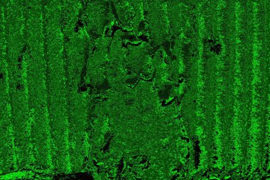 Soyut arkaplan. Çoklu renkli doku çizimi.