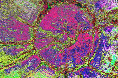 Soyut arkaplan. Çoklu renkli doku çizimi.