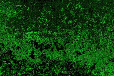 Soyut arkaplan. Çoklu renkli doku çizimi.