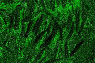 Soyut arkaplan. Çoklu renkli doku çizimi.