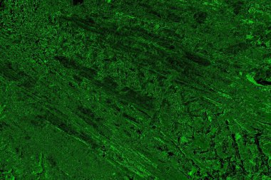 Soyut arkaplan. Çoklu renkli doku çizimi.