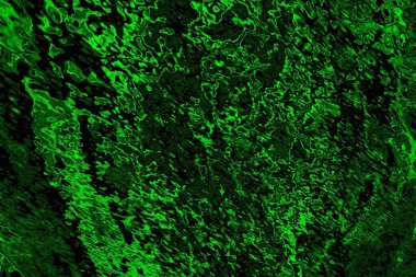 Soyut arkaplan. Çoklu renkli doku çizimi.