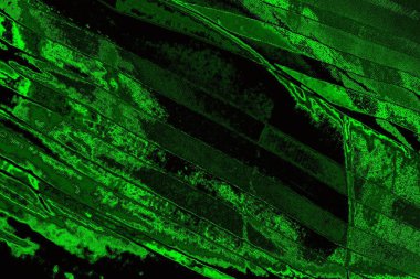 Soyut arkaplan. Çoklu renkli doku çizimi.