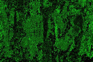 Soyut arkaplan. Çoklu renkli doku çizimi.