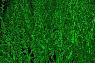 Soyut arkaplan. Çoklu renkli doku çizimi.