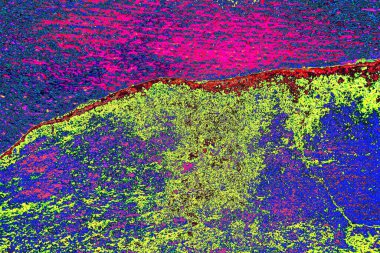 Soyut arkaplan. Çoklu renkli doku çizimi.