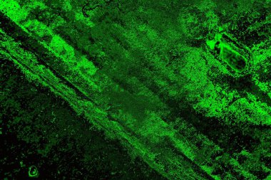 Soyut arkaplan. Çoklu renkli doku çizimi.