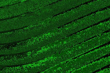 Soyut arkaplan. Çoklu renkli doku çizimi.