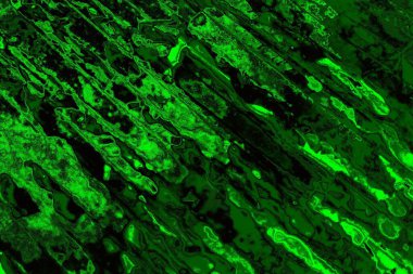 Soyut arkaplan. Çoklu renkli doku çizimi.