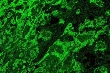 Soyut arkaplan. Çoklu renkli doku çizimi.