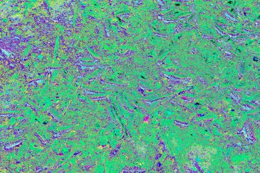 Soyut arkaplan. Çoklu renkli doku çizimi.