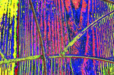 Soyut arkaplan. Çoklu renkli doku çizimi.