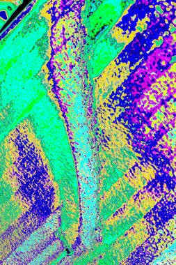 Soyut arkaplan. Çoklu renkli doku çizimi.