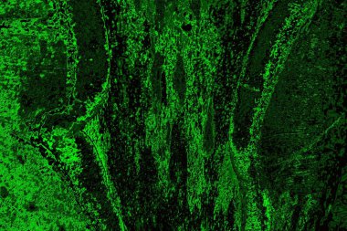 Soyut arkaplan. Çoklu renkli doku çizimi.