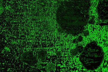 Soyut arkaplan. Çoklu renkli doku çizimi.