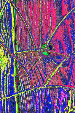 Soyut arkaplan. Çoklu renkli doku çizimi.