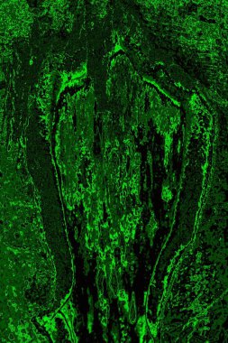 Soyut arkaplan. Çoklu renkli doku çizimi.