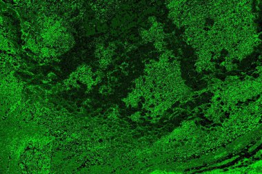 Soyut arkaplan. Çoklu renkli doku çizimi.