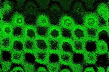 Soyut arkaplan. Çoklu renkli doku çizimi.