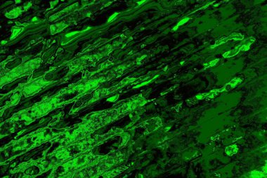 Soyut arkaplan. Çoklu renkli doku çizimi.