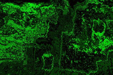 Soyut arkaplan. Çoklu renkli doku çizimi.