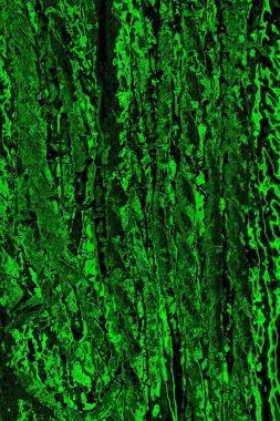 Soyut arkaplan. Çoklu renkli doku çizimi.