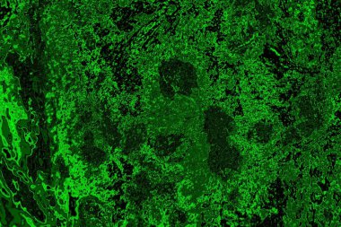 Soyut arkaplan. Çoklu renkli doku çizimi.