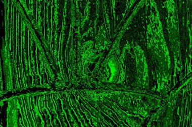 Soyut arkaplan. Çoklu renkli doku çizimi.